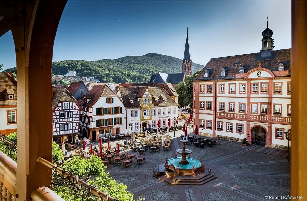 Marktplatz von Neustadt an der Weinstraße mit Fachwerkhäusern – Fensterbauer Neustadt